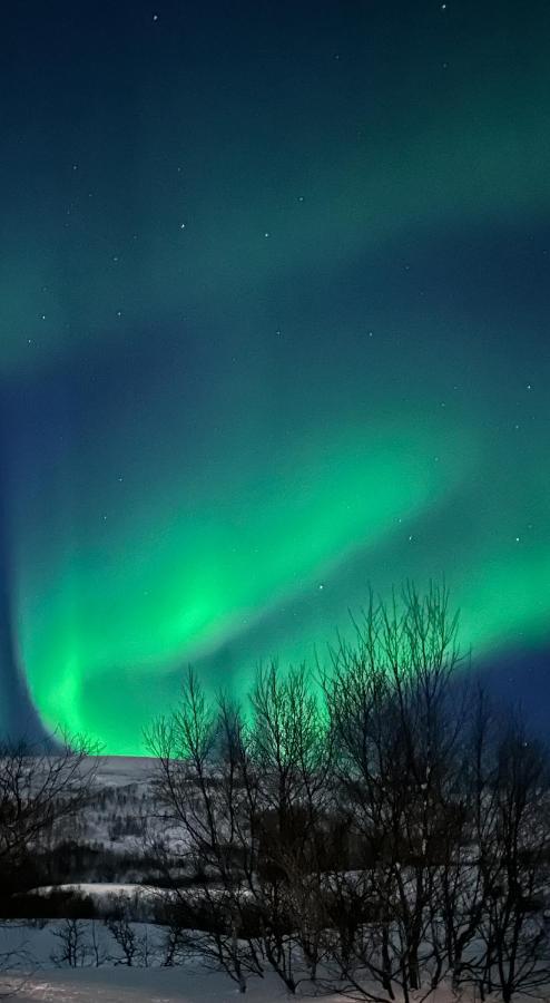 Tromsdalen Aurora Apartments Tromsø Exteriör bild